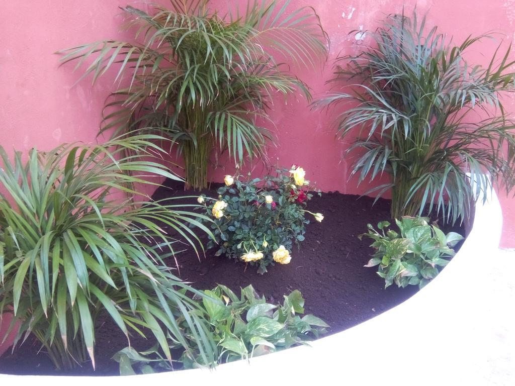 Casa Mazejuwi Hotel Campeche Exterior foto